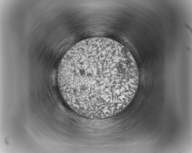 X0000099300026200805301142