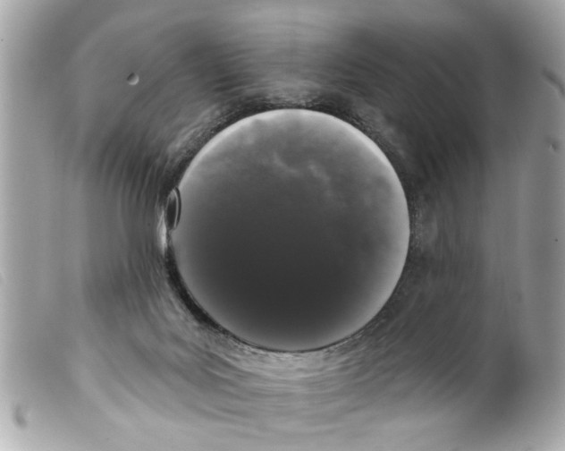 X0000099300027200805301142