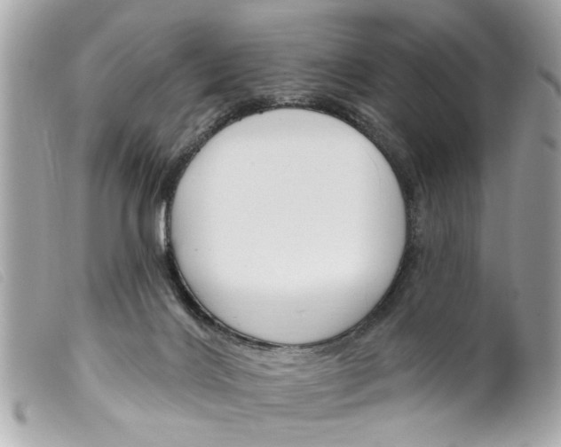 X0000099300028200805301142