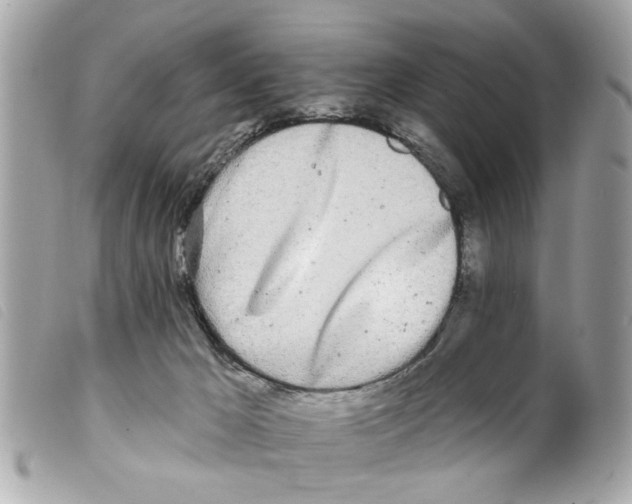 X0000099300029200805301142