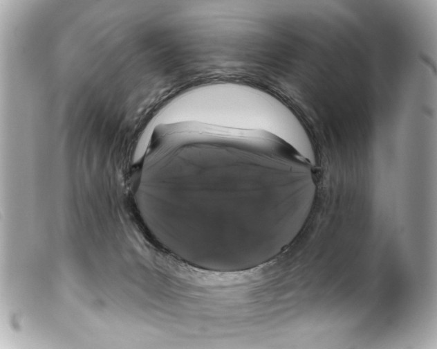 X0000099300031200805301142
