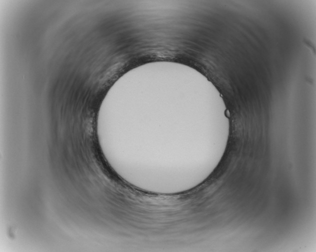 X0000099300032200805301142