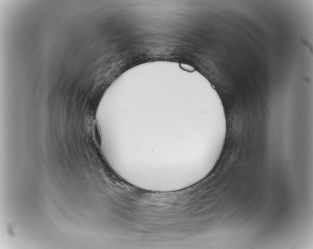 X0000099300033200805301142