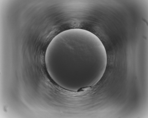 X0000099300035200805301142