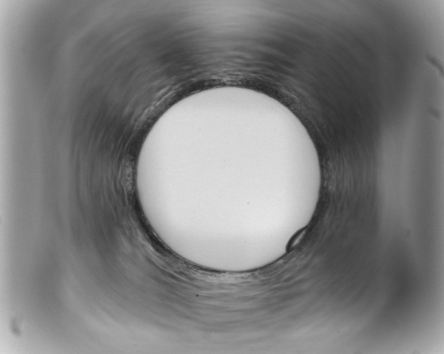 X0000099300036200805301142