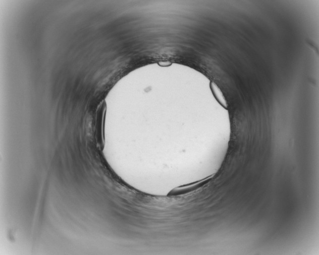 X0000099300037200805301142