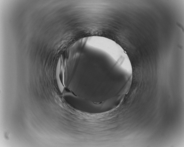 X0000099300039200805301142