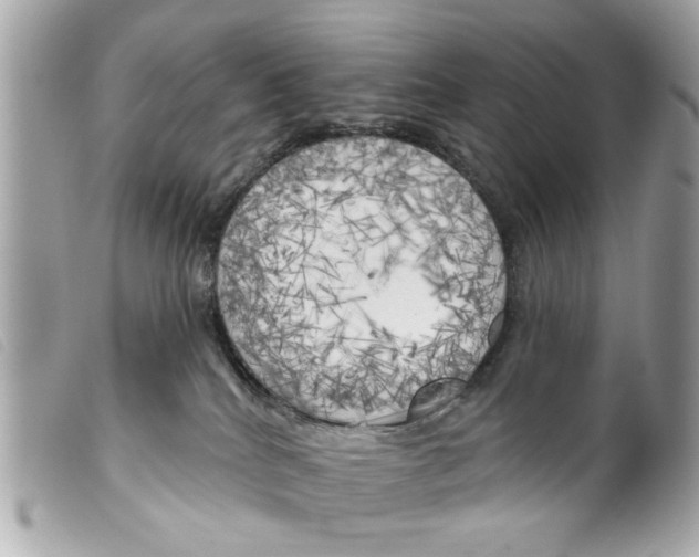 X0000099300040200805301142