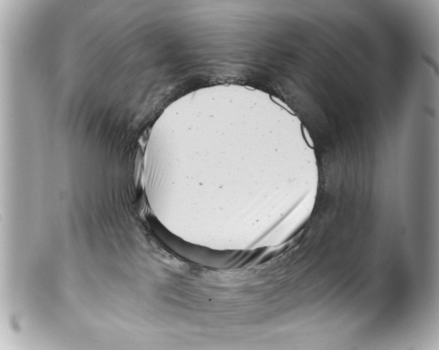 X0000099300041200805301142