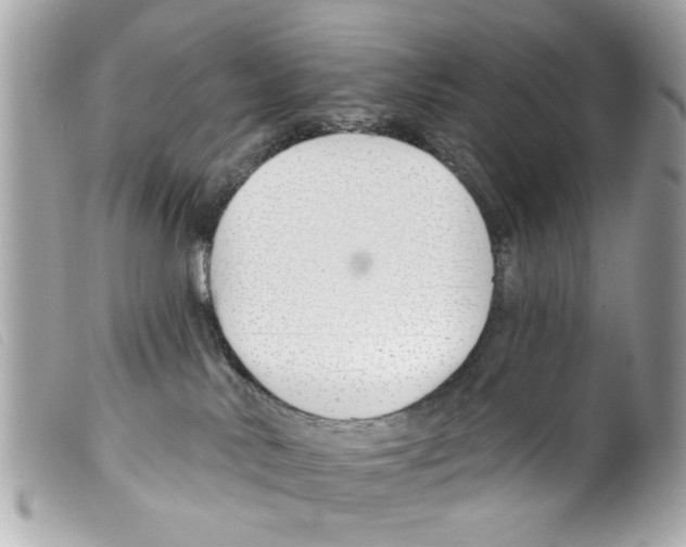 X0000099300042200805301142