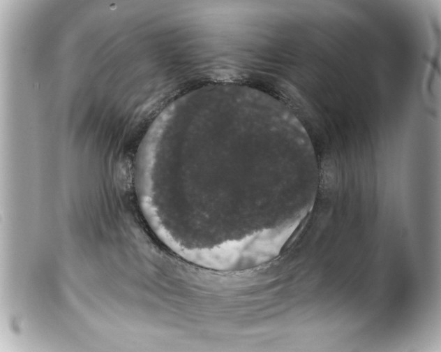 X0000099300043200805301142