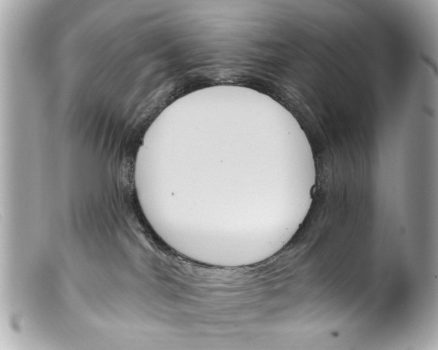 X0000099300044200805301142