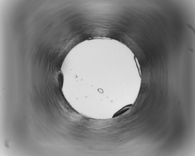 X0000099300045200805301142