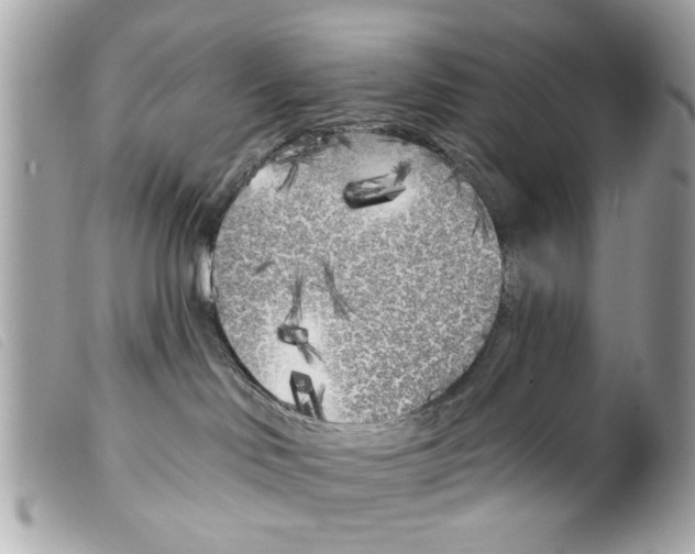 X0000099300046200805301142