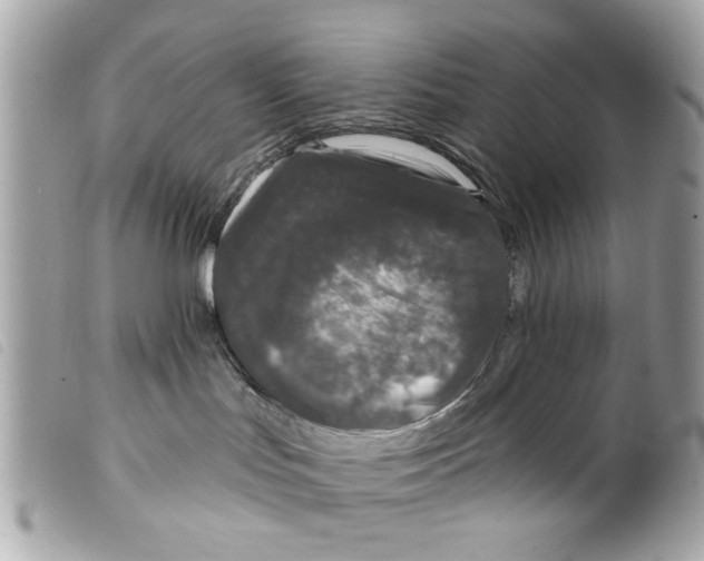 X0000099300047200805301142