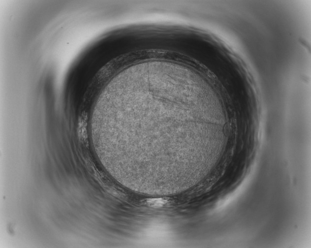 X0000099300050200805301141