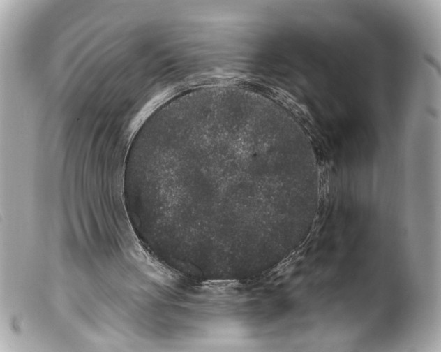 X0000099300051200805301141