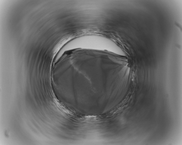 X0000099300052200805301141