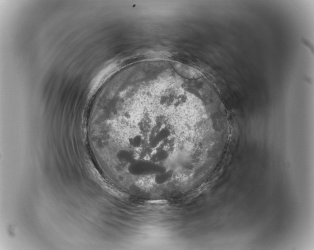 X0000099300053200805301141