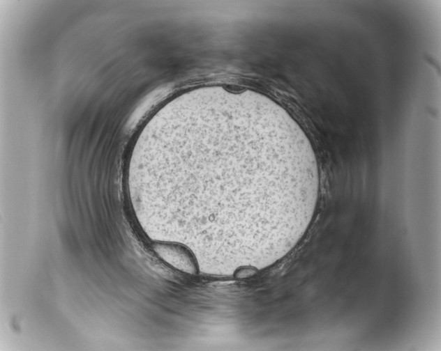 X0000099300054200805301141