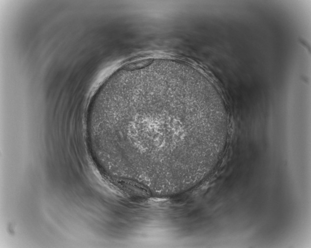 X0000099300055200805301141