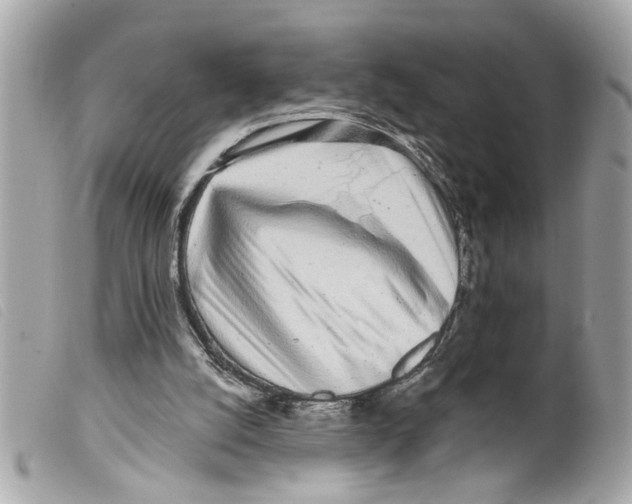 X0000099300056200805301141