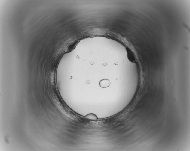 X0000099300057200805301142
