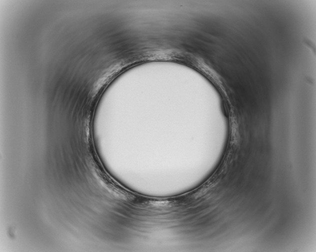 X0000099300059200805301142