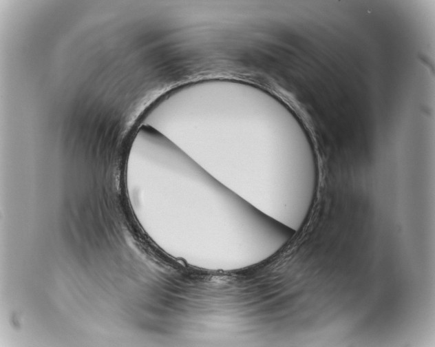 X0000099300060200805301142