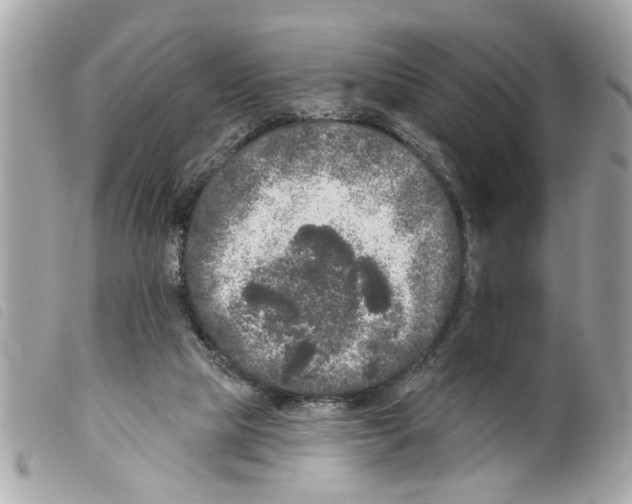X0000099300065200805301142