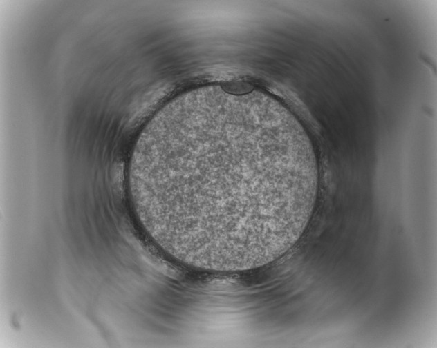 X0000099300066200805301142