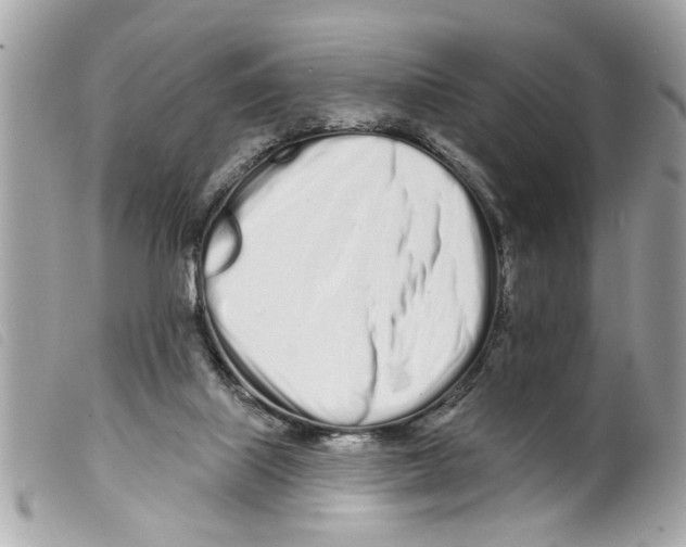 X0000099300067200805301142