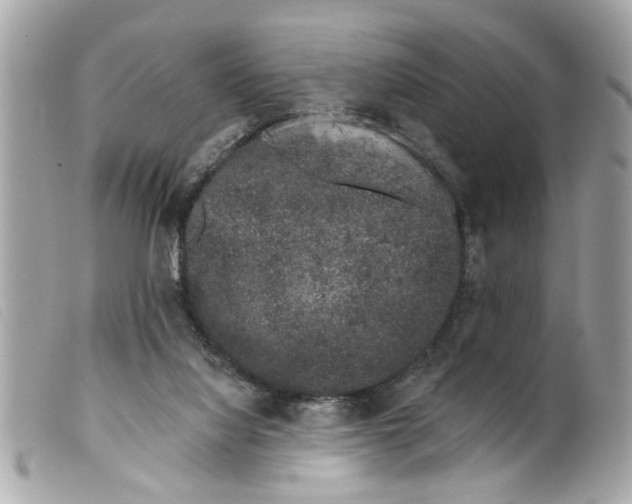 X0000099300068200805301142