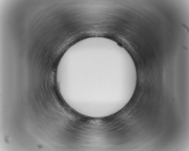 X0000099300071200805301142