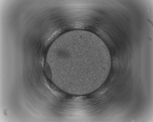 X0000099300072200805301142