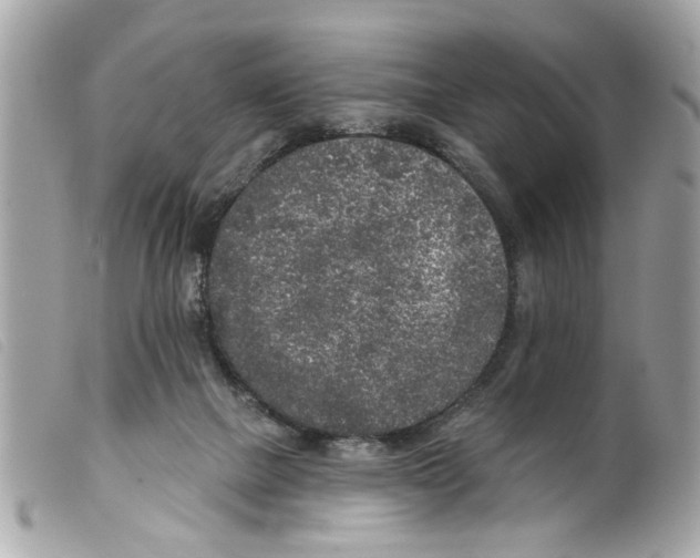 X0000099300073200805301142