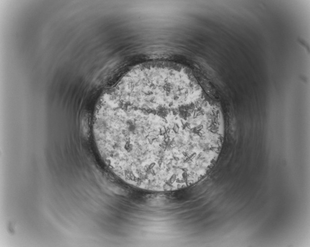 X0000099300074200805301142