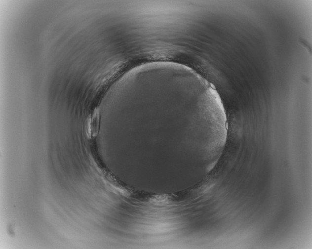 X0000099300076200805301142