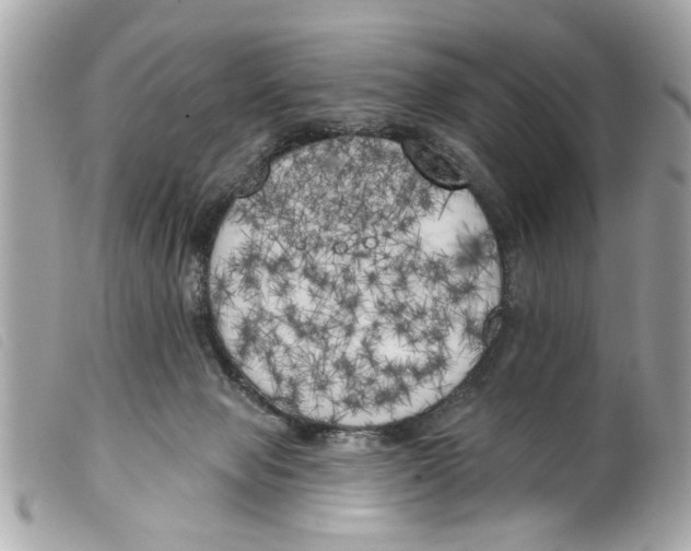 X0000099300077200805301142