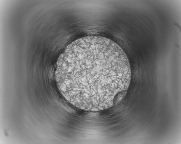 X0000099300081200805301142