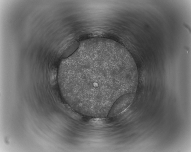 X0000099300082200805301142