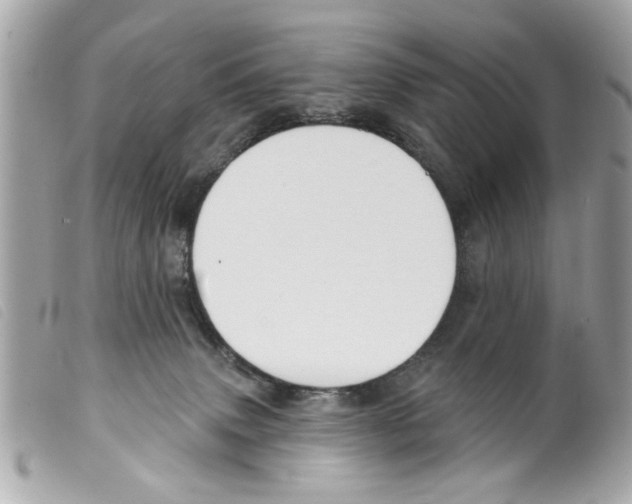 X0000099300083200805301142