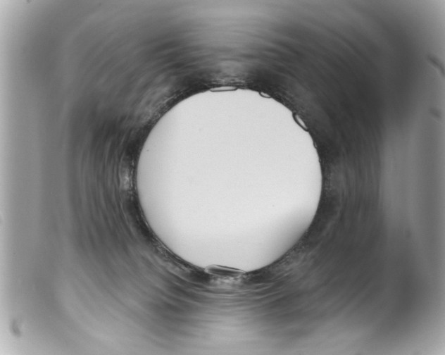 X0000099300084200805301142