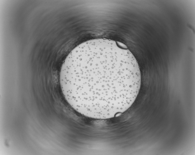 X0000099300085200805301142