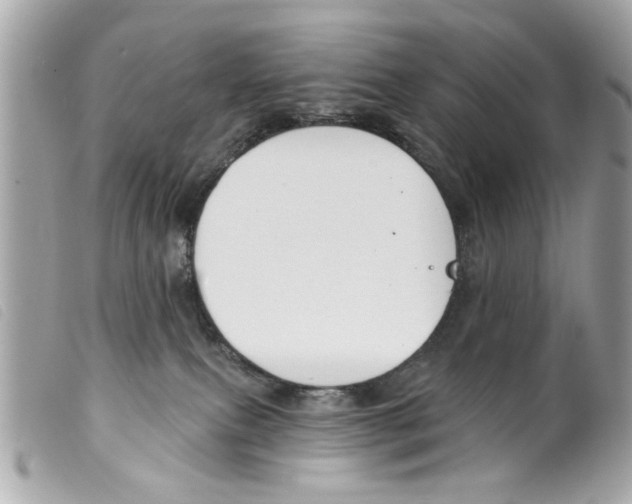 X0000099300087200805301142
