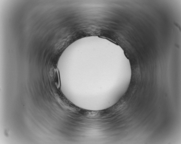 X0000099300088200805301142