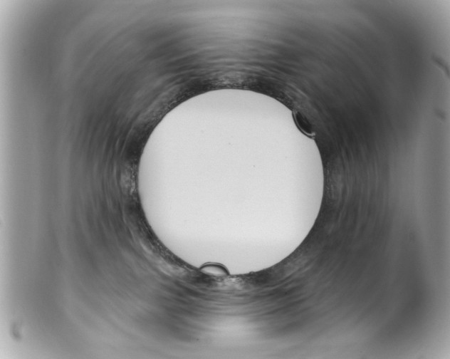 X0000099300091200805301142