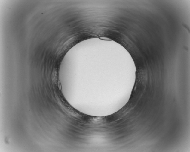 X0000099300092200805301142