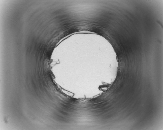 X0000099300093200805301142