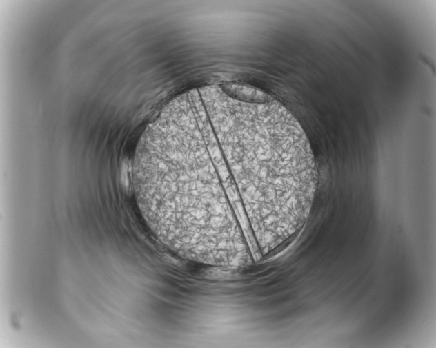 X0000099300094200805301142